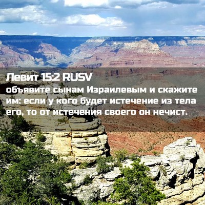 Picture 02 - Левит 15:2 RUSV - объявите сынам Израилевым - Bible Verse Picture