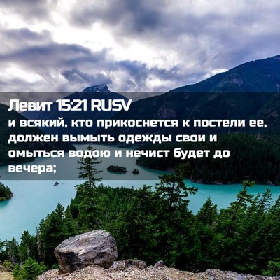 Picture 02 - Левит 15:21 RUSV - и всякий, кто прикоснется к - Bible Verse Picture