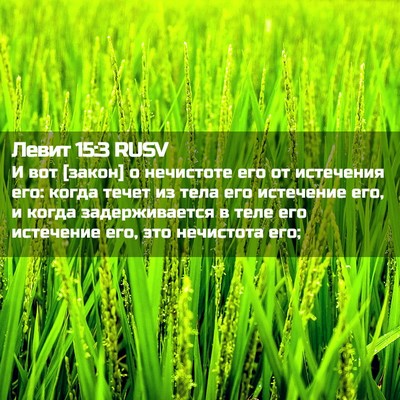 Picture 02 - Левит 15:3 RUSV - И вот [закон] о нечистоте - Bible Verse Picture