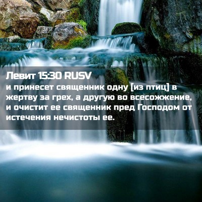 Picture 02 - Левит 15:30 RUSV - и принесет священник одну - Bible Verse Picture
