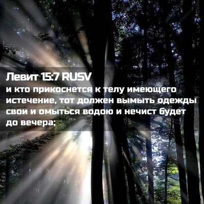 Picture 02 - Левит 15:7 RUSV - и кто прикоснется к телу - Bible Verse Picture