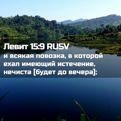 Picture 02 - Левит 15:9 RUSV - и всякая повозка, в которой - Bible Verse Picture