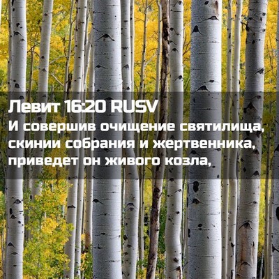 Picture 02 - Левит 16:20 RUSV - И совершив очищение - Bible Verse Picture
