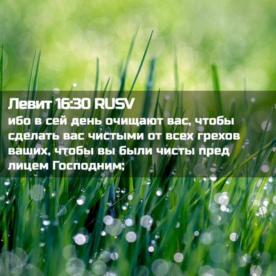 Picture 02 - Левит 16:30 RUSV - ибо в сей день очищают вас, - Bible Verse Picture