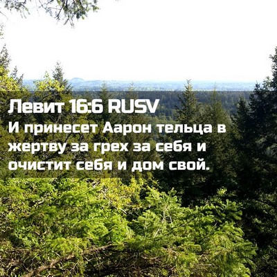 Picture 02 - Левит 16:6 RUSV - И принесет Аарон тельца в - Bible Verse Picture