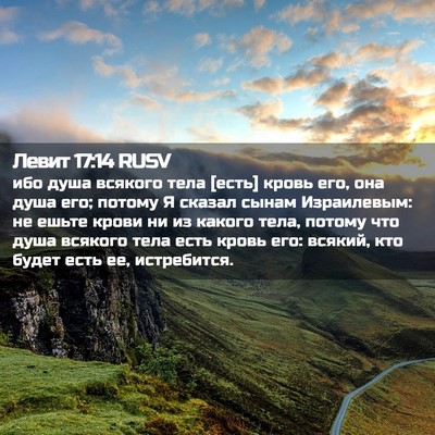 Picture 02 - Левит 17:14 RUSV - ибо душа всякого тела - Bible Verse Picture