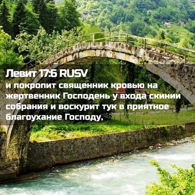 Picture 02 - Левит 17:6 RUSV - и покропит священник - Bible Verse Picture