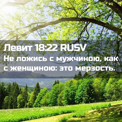 Picture 02 - Левит 18:22 RUSV - Не ложись с мужчиною, как с - Bible Verse Picture