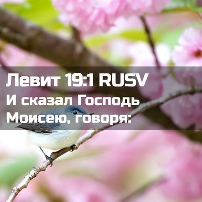 Picture 02 - Левит 19:1 RUSV - И сказал Господь Моисею, - Bible Verse Picture