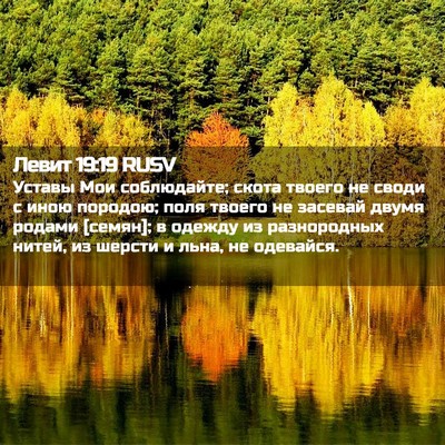 Picture 02 - Левит 19:19 RUSV - Уставы Мои соблюдайте; - Bible Verse Picture