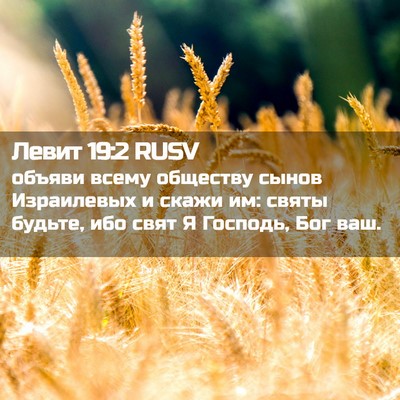 Picture 02 - Левит 19:2 RUSV - объяви всему обществу - Bible Verse Picture