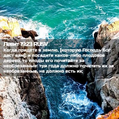 Picture 02 - Левит 19:23 RUSV - Когда придете в землю, - Bible Verse Picture