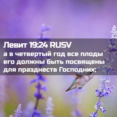 Picture 02 - Левит 19:24 RUSV - а в четвертый год все плоды - Bible Verse Picture
