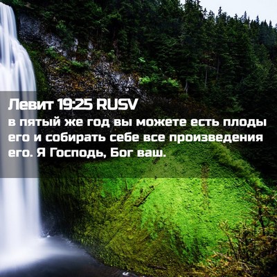 Picture 02 - Левит 19:25 RUSV - в пятый же год вы можете - Bible Verse Picture
