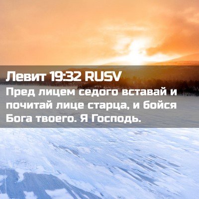Picture 02 - Левит 19:32 RUSV - Пред лицем седого вставай - Bible Verse Picture