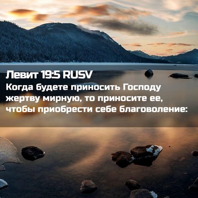 Picture 02 - Левит 19:5 RUSV - Когда будете приносить - Bible Verse Picture