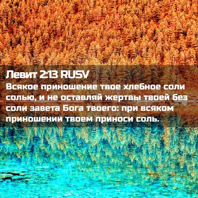 Picture 02 - Левит 2:13 RUSV - Всякое приношение твое - Bible Verse Picture