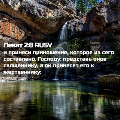 Picture 02 - Левит 2:8 RUSV - и принеси приношение, - Bible Verse Picture