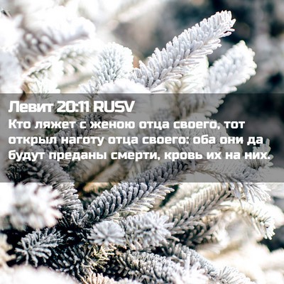 Picture 02 - Левит 20:11 RUSV - Кто ляжет с женою отца - Bible Verse Picture