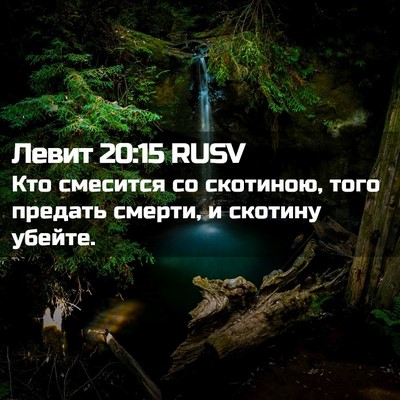 Picture 02 - Левит 20:15 RUSV - Кто смесится со скотиною, - Bible Verse Picture