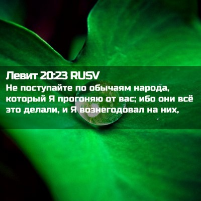 Picture 02 - Левит 20:23 RUSV - Не поступайте по обычаям - Bible Verse Picture