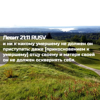 Picture 02 - Левит 21:11 RUSV - и ни к какому умершему не - Bible Verse Picture
