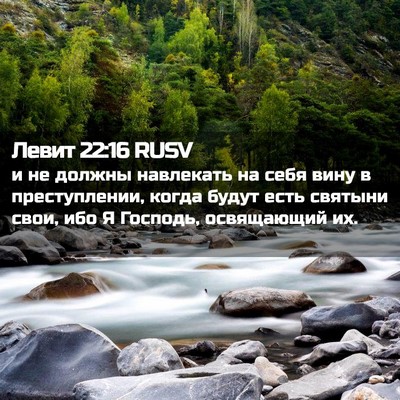 Picture 02 - Левит 22:16 RUSV - и не должны навлекать на - Bible Verse Picture