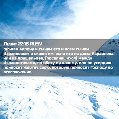 Picture 02 - Левит 22:18 RUSV - объяви Аарону и сынам его и - Bible Verse Picture