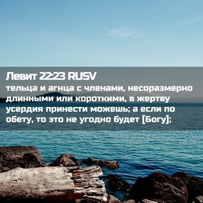 Picture 02 - Левит 22:23 RUSV - тельца и агнца с членами, - Bible Verse Picture