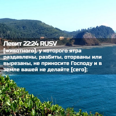 Picture 02 - Левит 22:24 RUSV - [животного], у которого - Bible Verse Picture