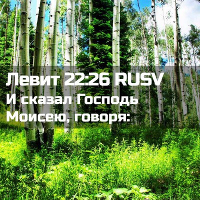 Picture 02 - Левит 22:26 RUSV - И сказал Господь Моисею, - Bible Verse Picture