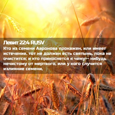 Picture 02 - Левит 22:4 RUSV - Кто из семени Ааронова - Bible Verse Picture