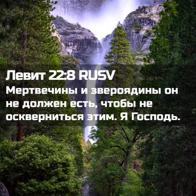 Picture 02 - Левит 22:8 RUSV - Мертвечины и звероядины он - Bible Verse Picture