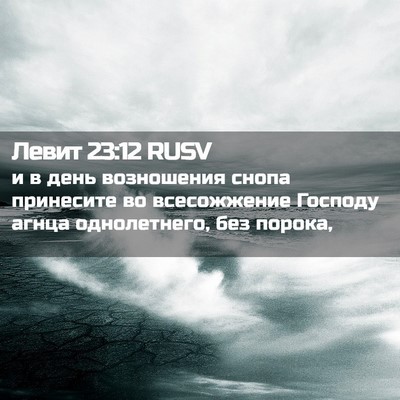 Picture 02 - Левит 23:12 RUSV - и в день возношения снопа - Bible Verse Picture