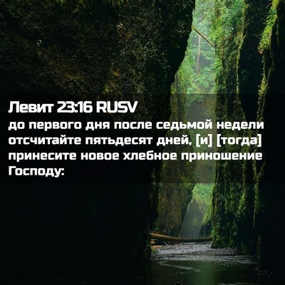 Picture 02 - Левит 23:16 RUSV - до первого дня после - Bible Verse Picture