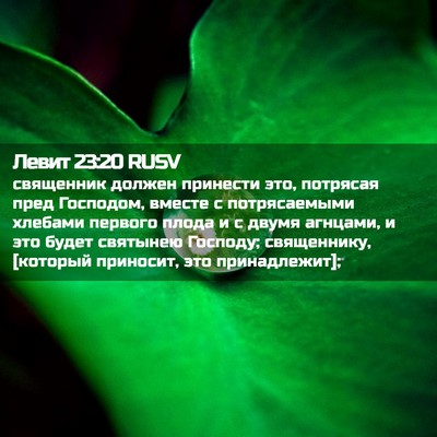 Picture 02 - Левит 23:20 RUSV - священник должен принести - Bible Verse Picture