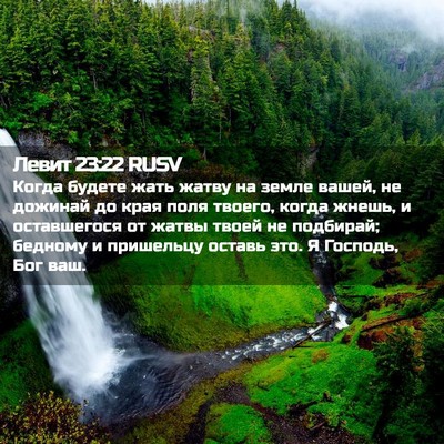 Picture 02 - Левит 23:22 RUSV - Когда будете жать жатву на - Bible Verse Picture