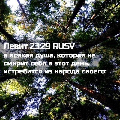 Picture 02 - Левит 23:29 RUSV - а всякая душа, которая не - Bible Verse Picture