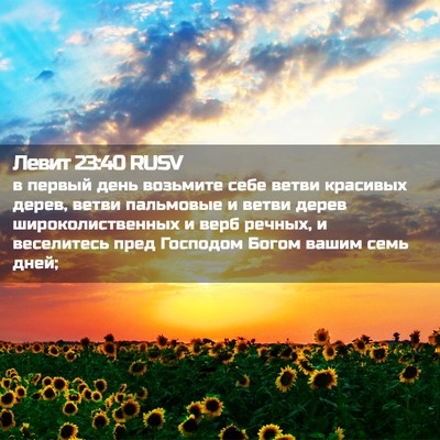 Picture 02 - Левит 23:40 RUSV - в первый день возьмите - Bible Verse Picture