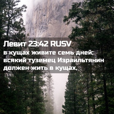 Picture 02 - Левит 23:42 RUSV - в кущах живите семь дней; - Bible Verse Picture