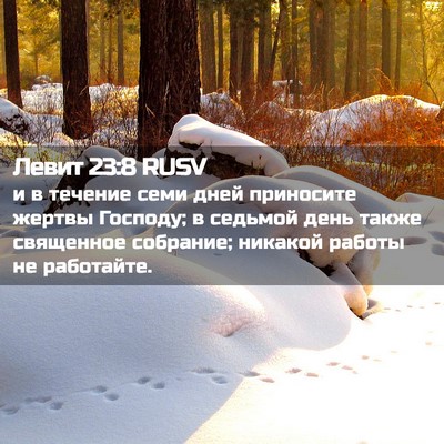 Picture 02 - Левит 23:8 RUSV - и в течение семи дней - Bible Verse Picture