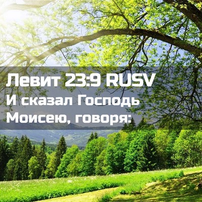 Picture 02 - Левит 23:9 RUSV - И сказал Господь Моисею, - Bible Verse Picture