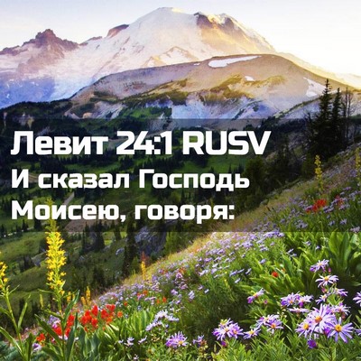 Picture 02 - Левит 24:1 RUSV - И сказал Господь Моисею, - Bible Verse Picture