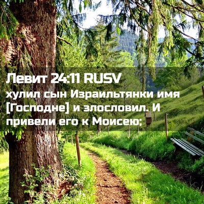 Picture 02 - Левит 24:11 RUSV - хулил сын Израильтянки имя - Bible Verse Picture