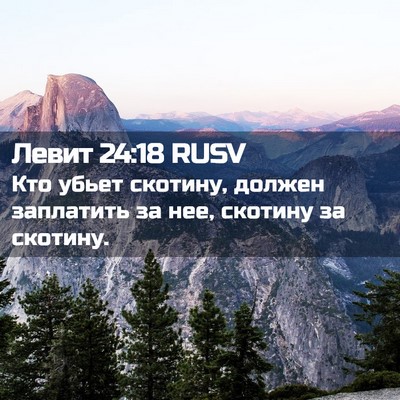 Picture 02 - Левит 24:18 RUSV - Кто убьет скотину, должен - Bible Verse Picture