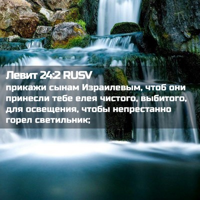 Picture 02 - Левит 24:2 RUSV - прикажи сынам Израилевым, - Bible Verse Picture