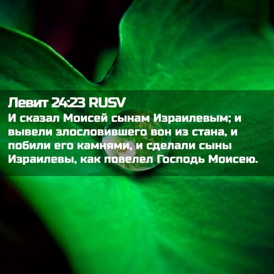 Picture 02 - Левит 24:23 RUSV - И сказал Моисей сынам - Bible Verse Picture