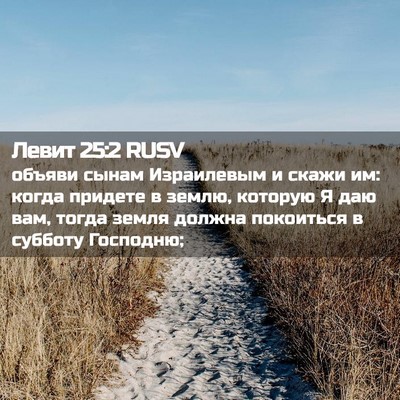Picture 02 - Левит 25:2 RUSV - объяви сынам Израилевым и - Bible Verse Picture