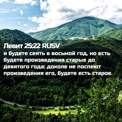 Picture 02 - Левит 25:22 RUSV - и будете сеять в восьмой - Bible Verse Picture