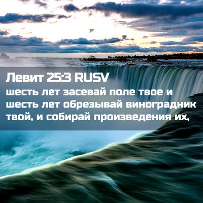 Picture 02 - Левит 25:3 RUSV - шесть лет засевай поле - Bible Verse Picture